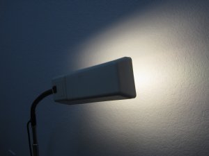 Burton Gooseneck Exam Light
