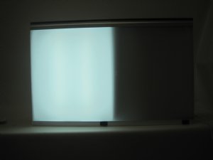 Wolf Econoline X-Ray View Box 2 Bank