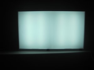 Wolf Econoline X-Ray View Box 2 Bank